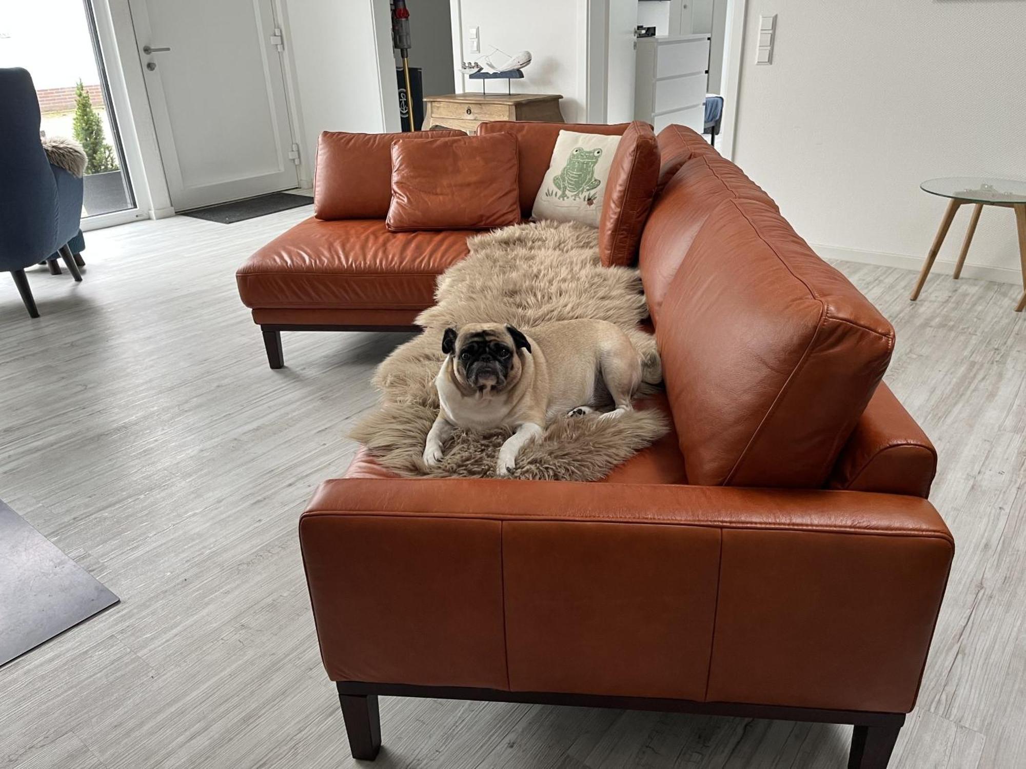 Ferienwohnung Nr 5 Wunstorf Kültér fotó